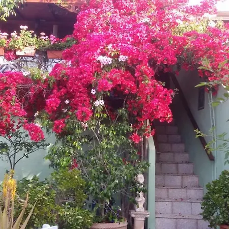 Rosa Dei Venti * Olbia